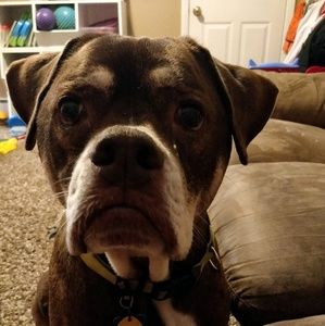 Meet your Posher, Colleen